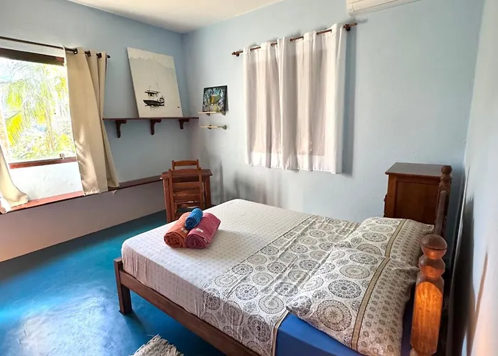 Casa da Floresta Pico da Águia