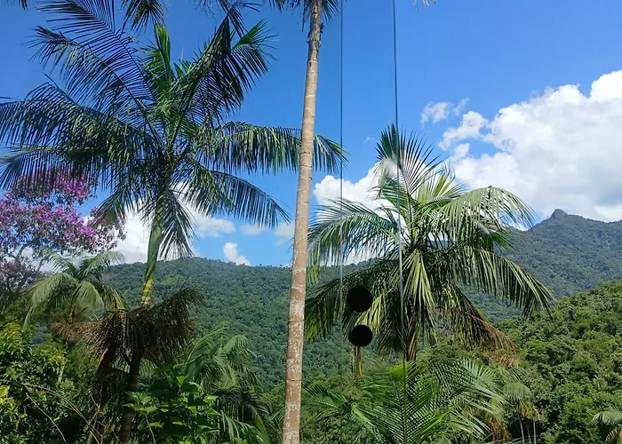 Casa da Floresta Pico da Águia